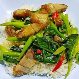 ข้าวคะน้าหมูกรอบ