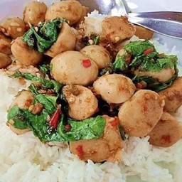 ข้าวกะเพราะลูกชิ้น