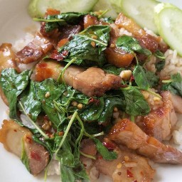 หมีกินไผ่