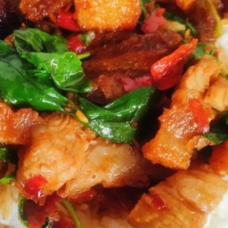 กะเพราหมูกรอบ