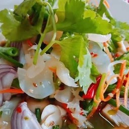 ยำแมงกระพรุน