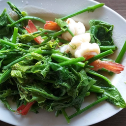 ผัดยอดมะระกุ้ง