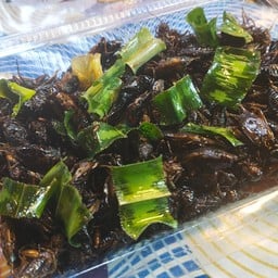 ศูนย์รวมแมลงทอด