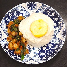 ข้าวกระเพราไก่(เคย)กรอบ