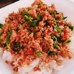 กระเพราตัวกลม