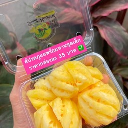 สับปะรดภูแลพร้อมทานชุดเล็ก