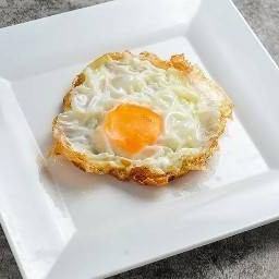 FRIED EGG