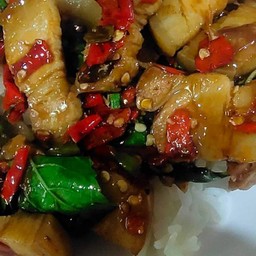 ข้าวกะเพราพี่ต้า เผ็ดนิดเดียว