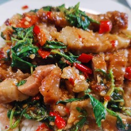 กะเพราไก่ใส่วุ้นเส้น