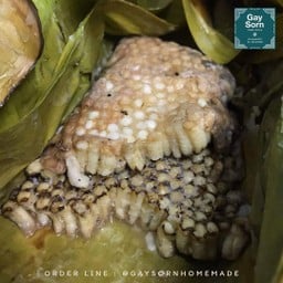 [ แนะนำ ] รังผึ้งหลวงย่าง 100g