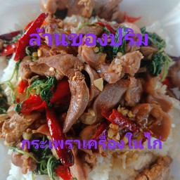 ข้าวราดผัดกะเพราเครื่องในไก่