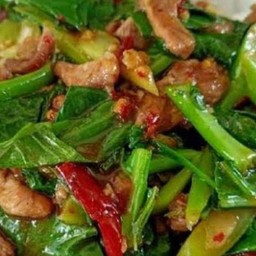 ผัดคะน้าหมูชิ้นราดข้าว