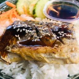 ข้าวหน้าปลาซาบะญี่ปุ่น ซอสเทอริยากิ