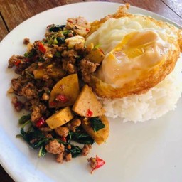 ข้าวกะเพราหมูสับ-ไข่ดาว+หมูยอทอด