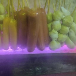 ลูกชิ้นทอดNN สาขา1