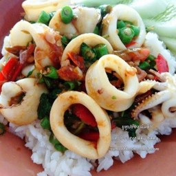 ข้าวกระเพราปลาหมึก