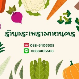 ข้าวกระเพรามาหานคร