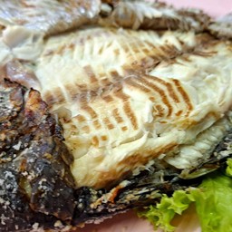 เมี่ยงปลานิลเผา