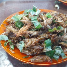 จิ้งหรีดทอด คุณไพร ตลากคลองถม