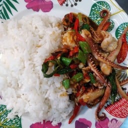 ข้าวกะเพราปลาหมึก