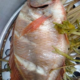 พี่อุบลปลานึ่ง&ปลาเผา ตลาดร่วมใจ