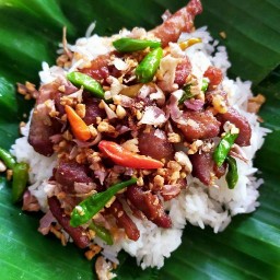 กินบ้านเราไหม