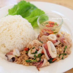 ข้าวปลาหมึกผัดกะเพรา