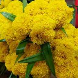 ผลไม้สดเมียเจ้าเงาะ ตลาดย่าโม