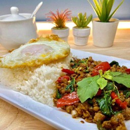 กะเพราเดี่ยว (ไม่มีไข่ดาว)