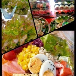 สลัดไฮโดรโปนิกส์ By ป้าหญิง