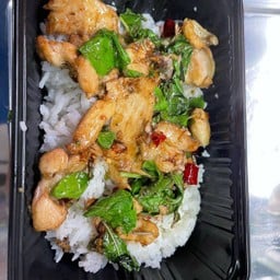 กะเพรา ไก่ชิ้น