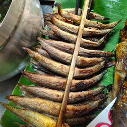 ปิ้ง ปลาหรด