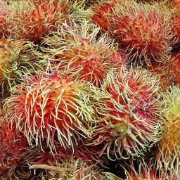 ผลไม้รักไทย