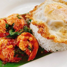 ข้าวกระเพรากุ้ง + ไข่ดาว