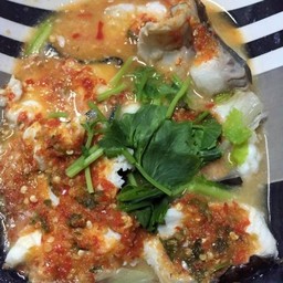 ปลาคังมะนาว