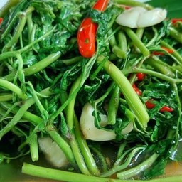 ผัดกะเฉดไฟแดง