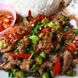เนื้อผัดกะเพรา
