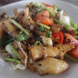 ปลาคังผัดพริกไทยดำ