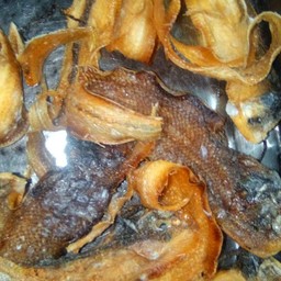 ปลาลี้นหมา