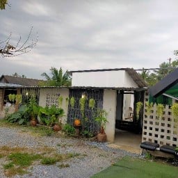 VISA อาหารป่า  น้ำลำไยสด