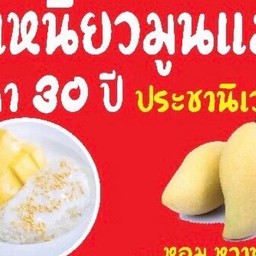 🍚🥭ข้าวเหนียวมูนแม่ศรี & ซาลาเปา ขนมจีบ ตลาดร่มไทร