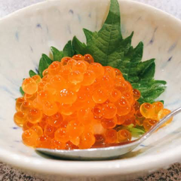 อิคุระซาชิมิ (ไข่ปลาแซลมอน)