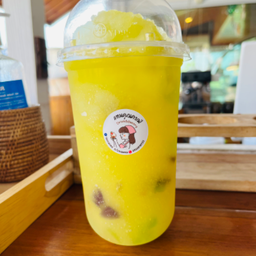เอ็ม100ปีโป้ปั่น