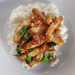 ข้าวกะเพราหมูกรอบ