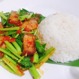 ข้าวคะน้าหมูกรอบ