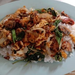 ผัดกระเพราหอยแมลงภู่ใส่ไข่ราดข้าว