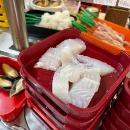 ปลาดอลลี่