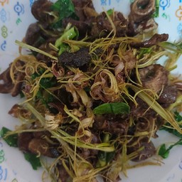 จ.เจมส์หม่าล่า