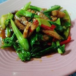 ผัดคะน้า