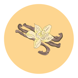 วานิลลา พรีเมี่ยม